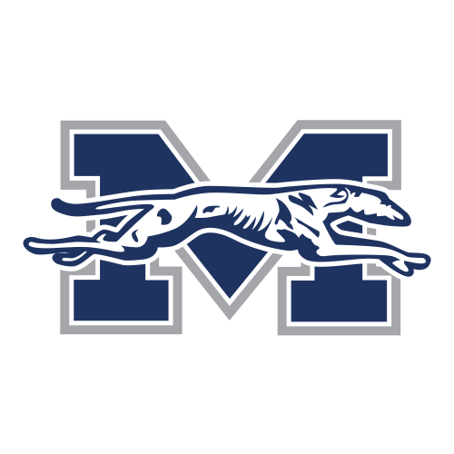 Moravian Greyhounds Moravian Greyhounds