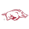 Arkansas Razorbacks