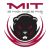 MIT Engineers