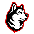 Northeastern logo