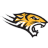 Towson Tigers