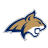 Montana State Bobcats