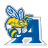 Allen Yellow Jackets