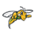 Black Hills State Yellow Jackets