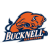 Bucknell Bison