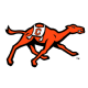 Campbell Fighting Camels