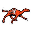 CampbellFighting Camels