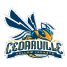 CDVL