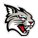 Davidson Wildcats