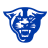 Georgia State Panthers