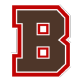 Brown Bears