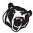 Lenoir Rhyne Bears