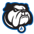 UNC Asheville Bulldogs