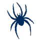 Richmond Spiders
