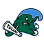 Tulane Tulane