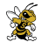 West Virginia State Yellow Jackets