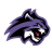 Wiley Wildcats