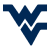 West Virginia Mountaineers
