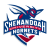 Shenandoah Hornets