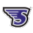 Stonehill Skyhawks