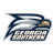 Georgia Southern Eagles