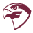 Fairmont State Falcons