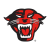 Davenport Panthers