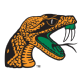 Florida A&M Rattlers