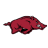 Arkansas Razorbacks