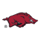 Arkansas Razorbacks