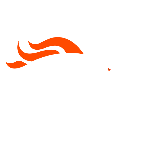 Denver Broncos Denver Broncos