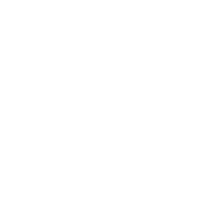Tampa Bay Lightning Logo