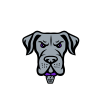 Philadelphia Waterdogs