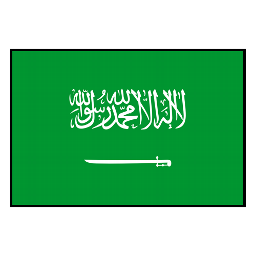 Arabia Saudita S20
