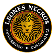 Leones Negros