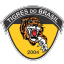 Tigres Bra