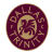 Dallas Trinity FC