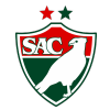 Salgueiro Logo