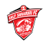 SAR