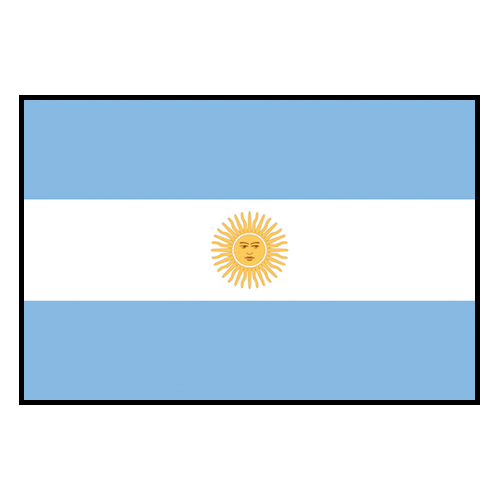 Misc. 203 ARGENTINA TEAM LOGO OFFICIAL SIZE 5 SOCCER BALL 