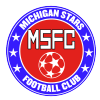 Michigan Stars Logo