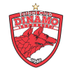 Dinamo Bucuresti Logo