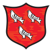 Dundalk Logo