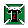Deportes Temuco Logo