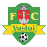 FC Vaslui