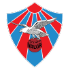 Valur Reykjavik Logo