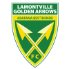 Golden Arrows Logo