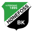 Honefoss