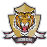 TIG