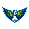 Dallas Wings